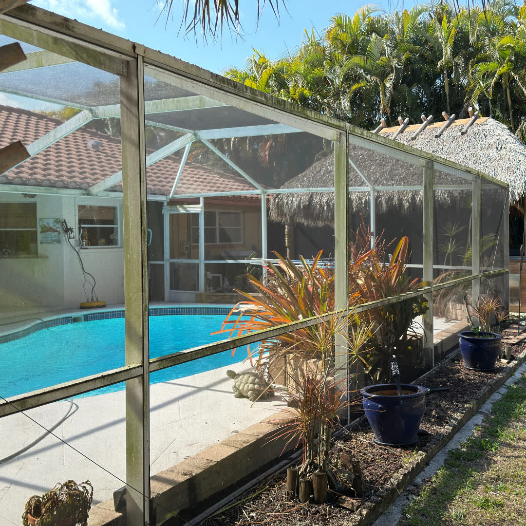 Pool screen enclosure with green algae and black mildew built up on the frames before washing