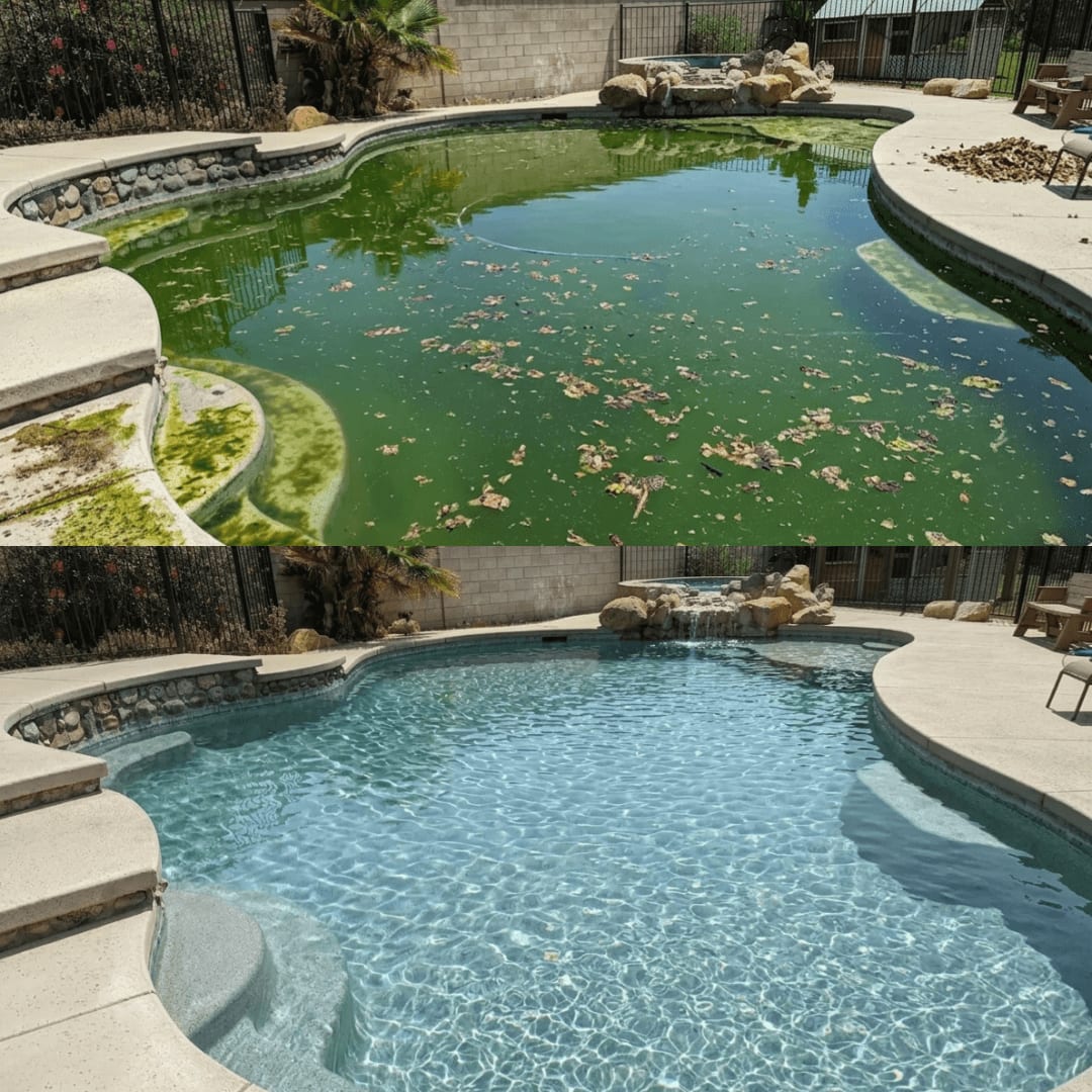 Green algae pool before green-to-clean recovery