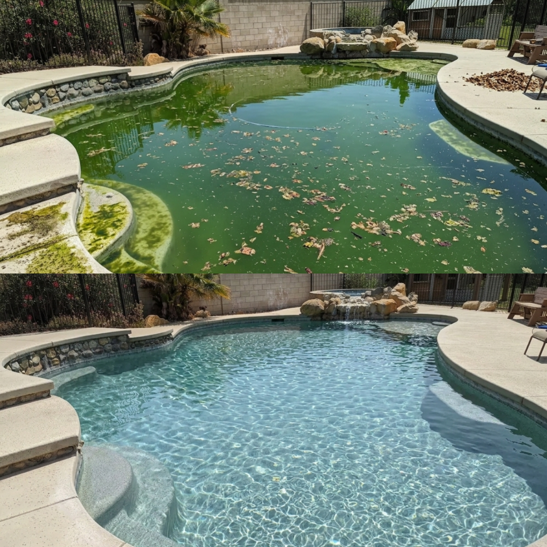 Green algae pool before green-to-clean recovery