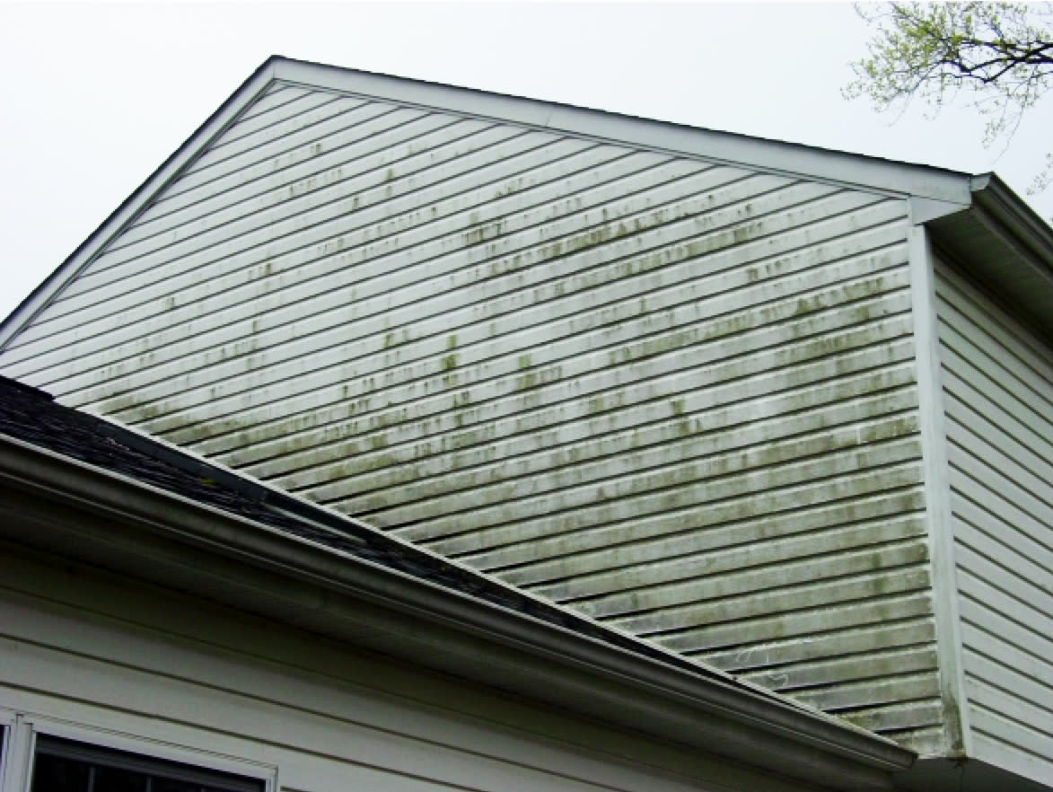 Home exterior covered in green algae before soft washing