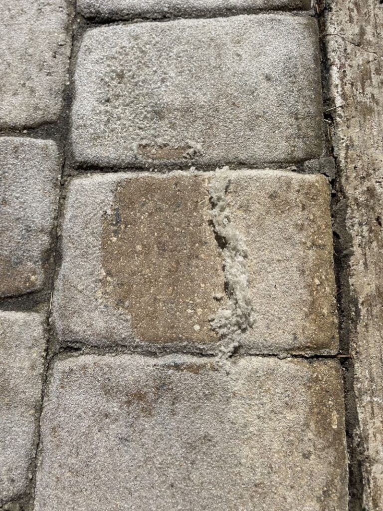 Paver restoration