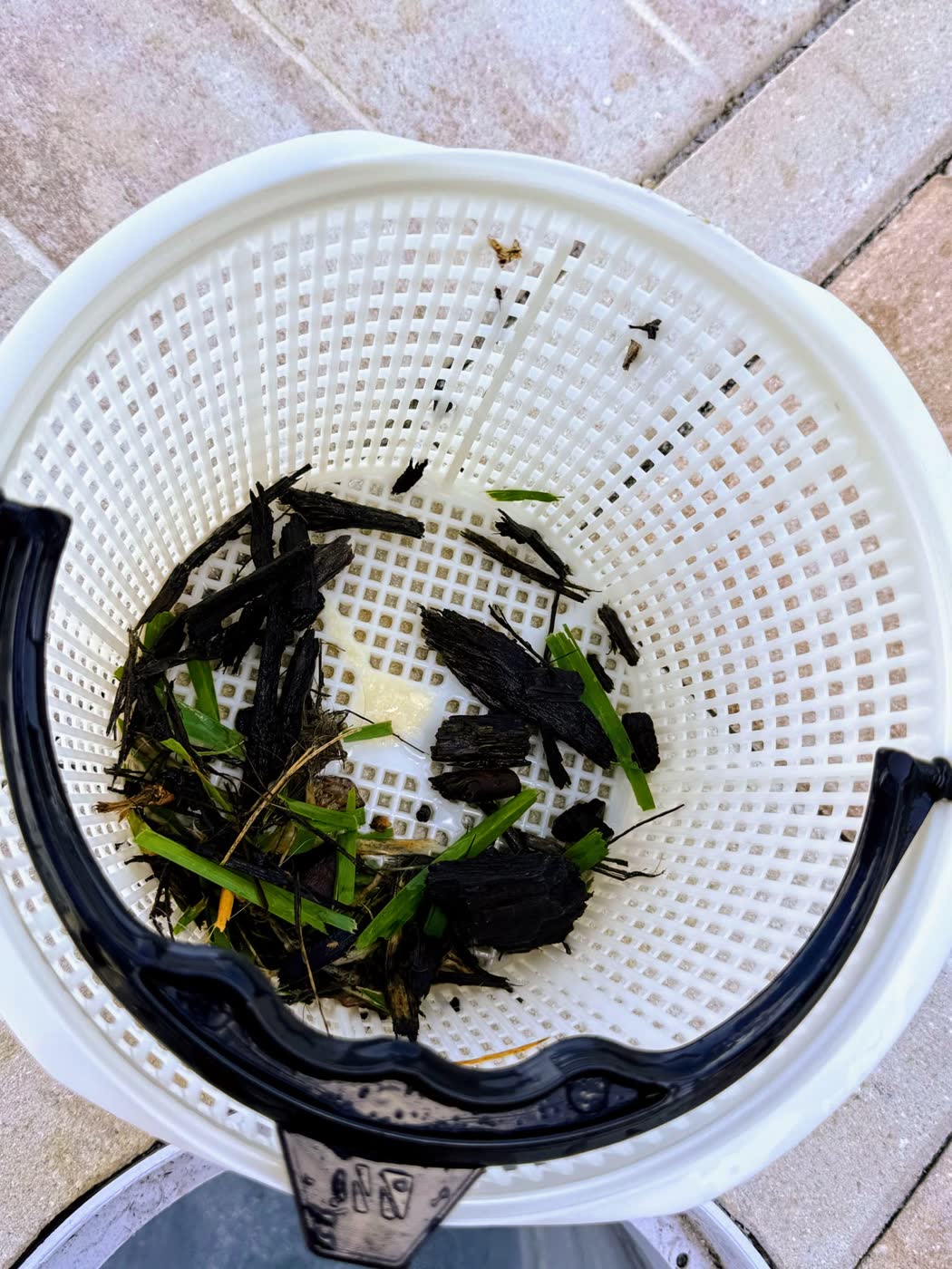 Pool service result