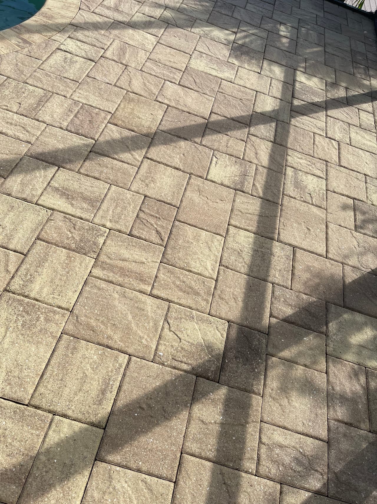 Clean paver pool deck and screen enclosure