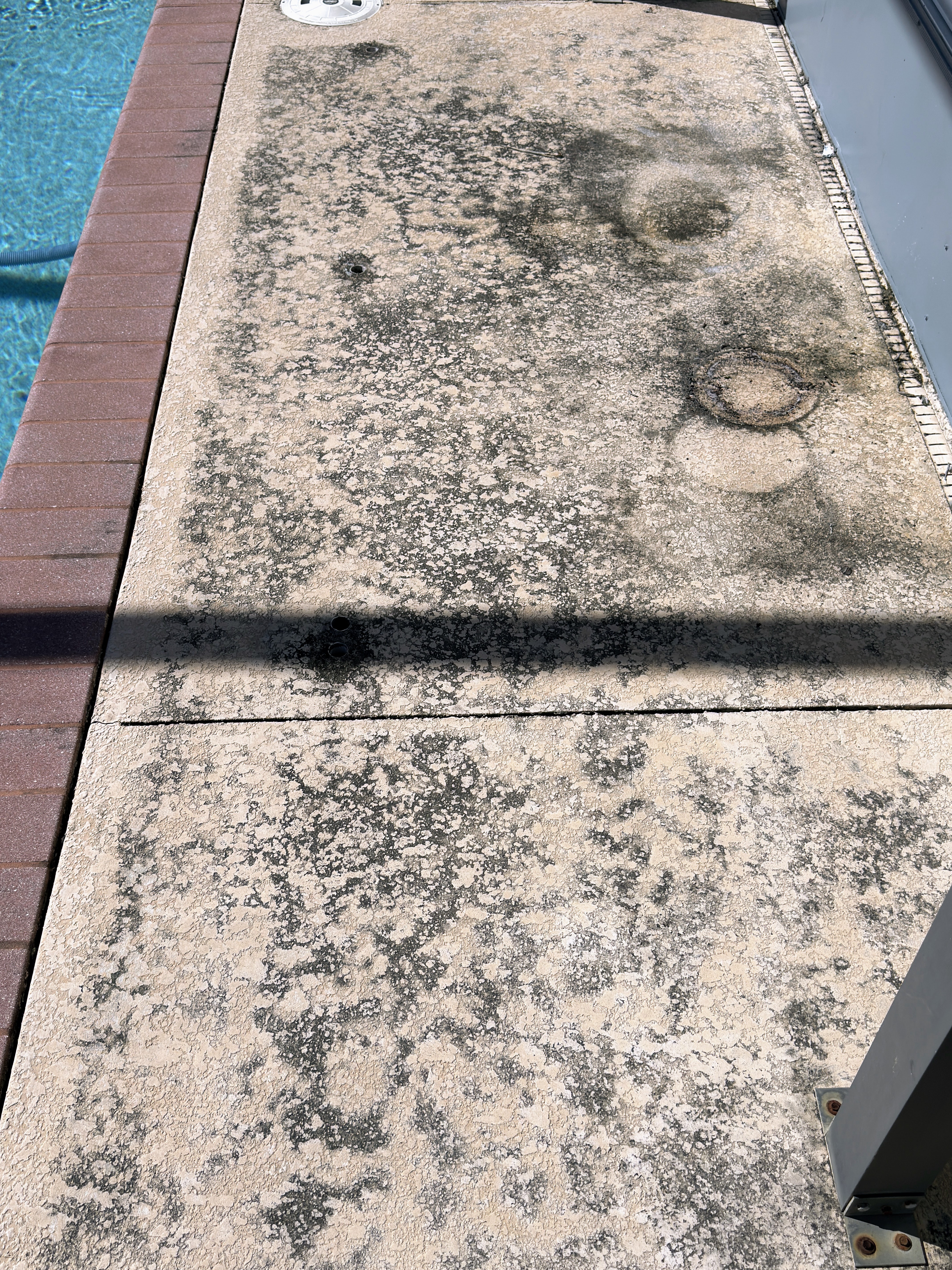 Pool deck second angle before pressure washing, Cape Coral FL