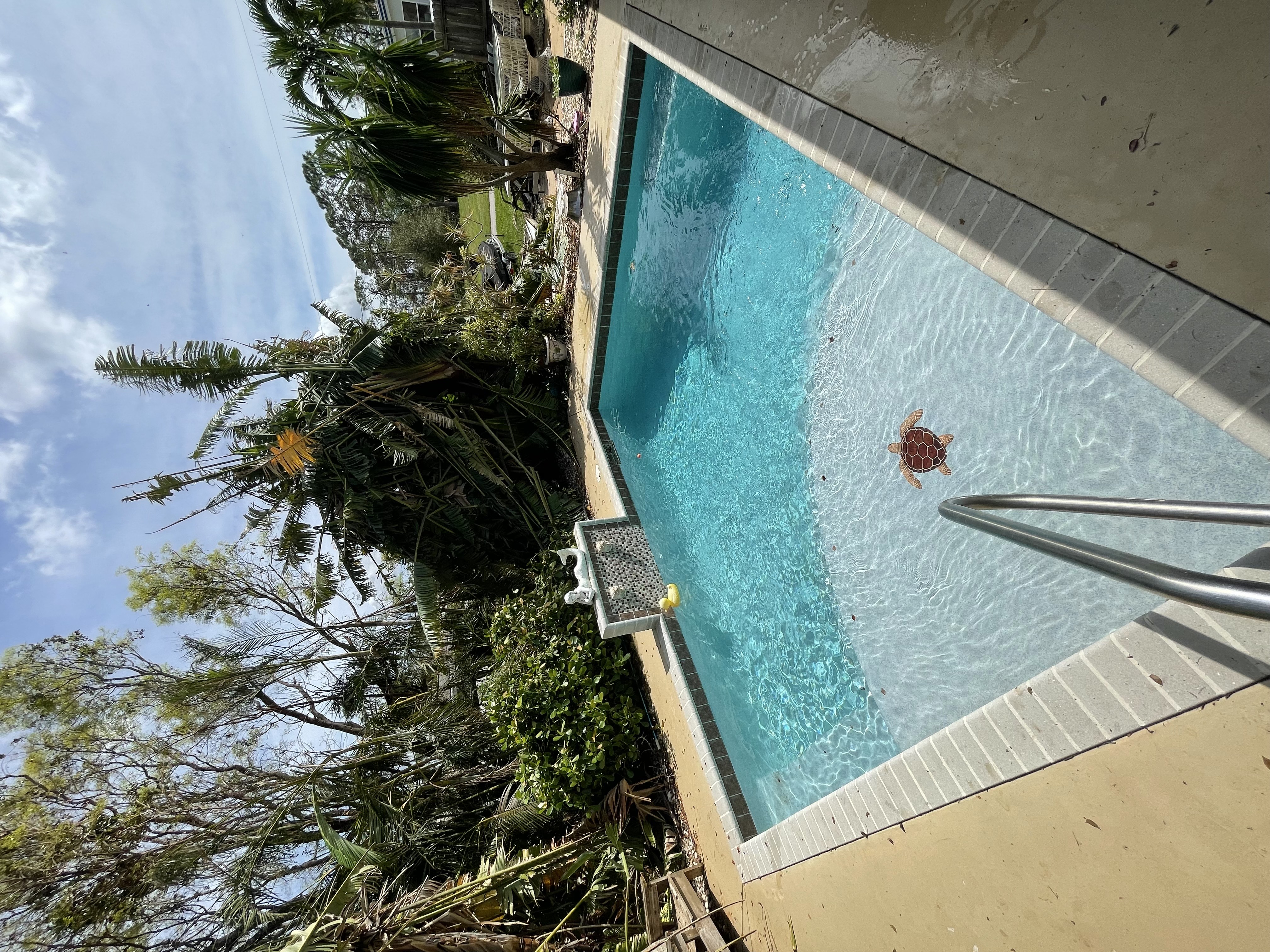 Pool after hurricane debris cleanup and chemical rebalance, Cape Coral FL