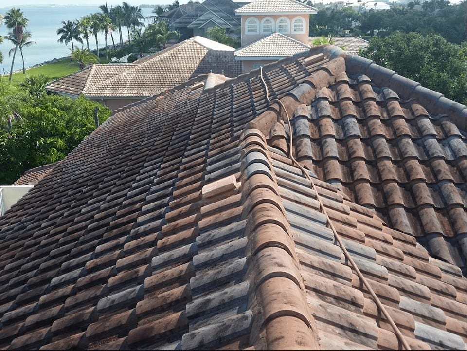 Roof before soft wash — black algae streaks