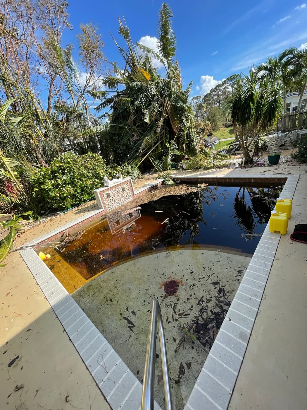 Green pool before recovery