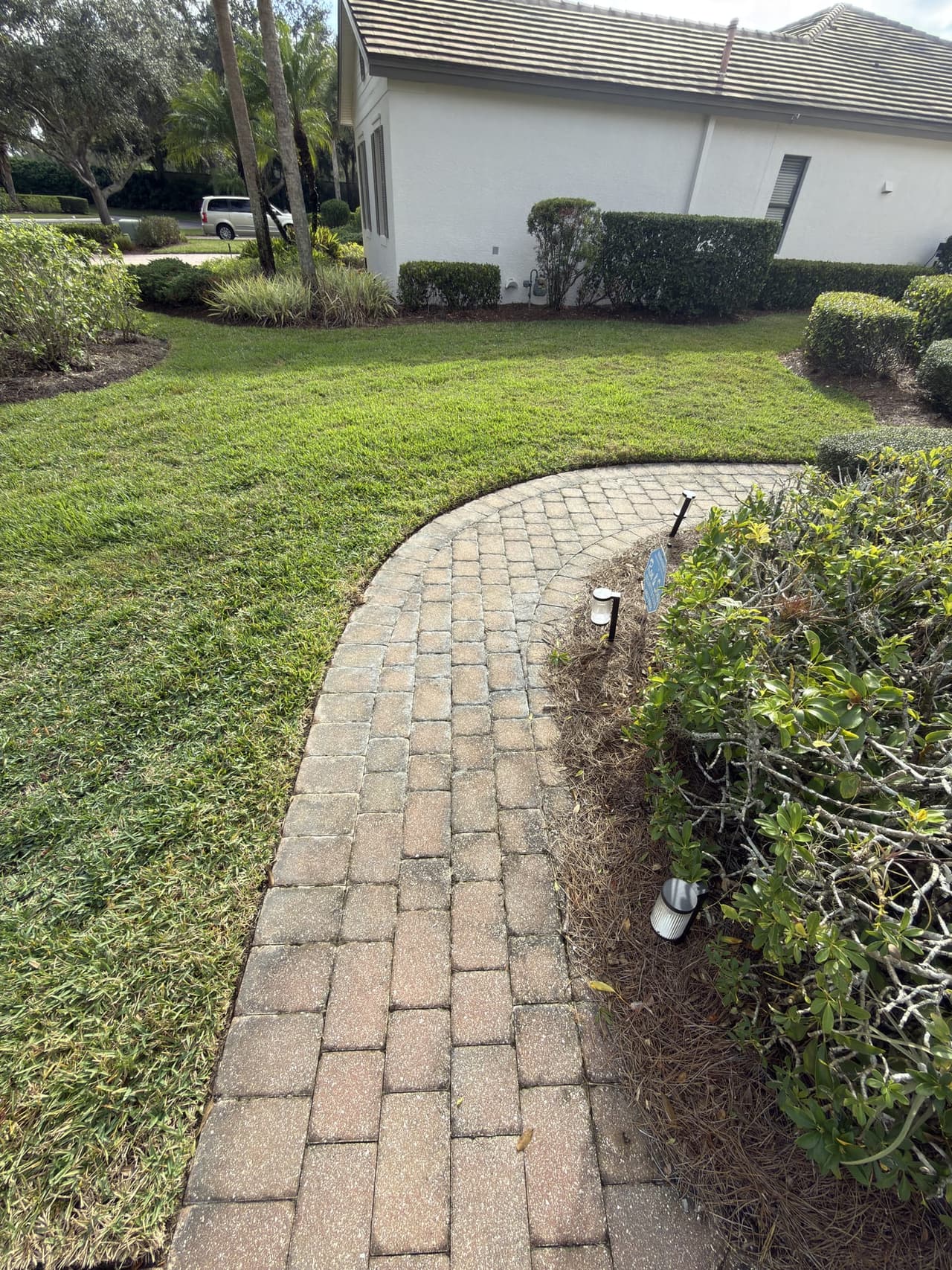 Pavers before restoration