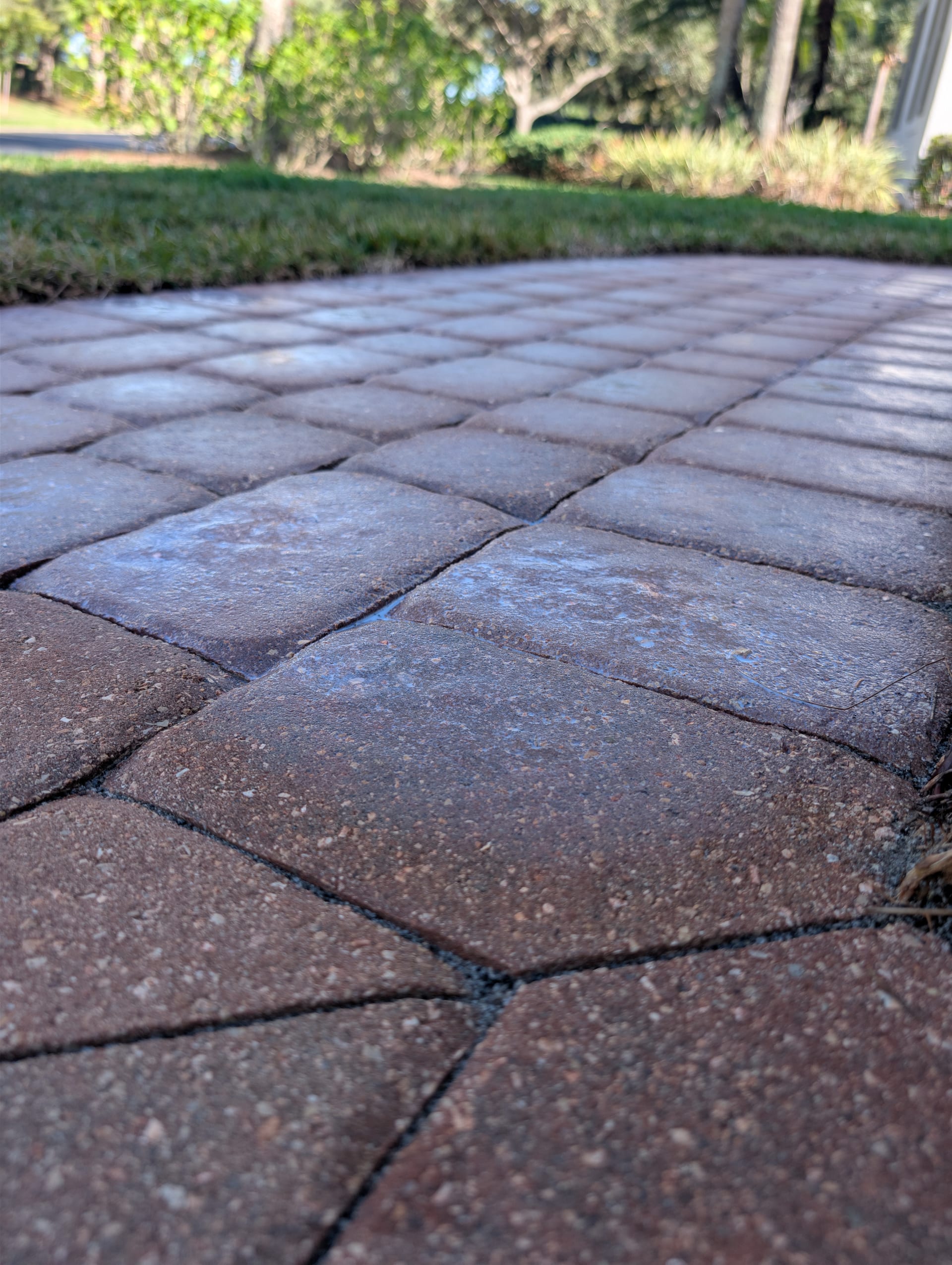 Paver sealing